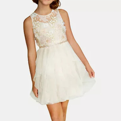 Rare Editions Big Girls Sequin Embroidered Dress Beige
