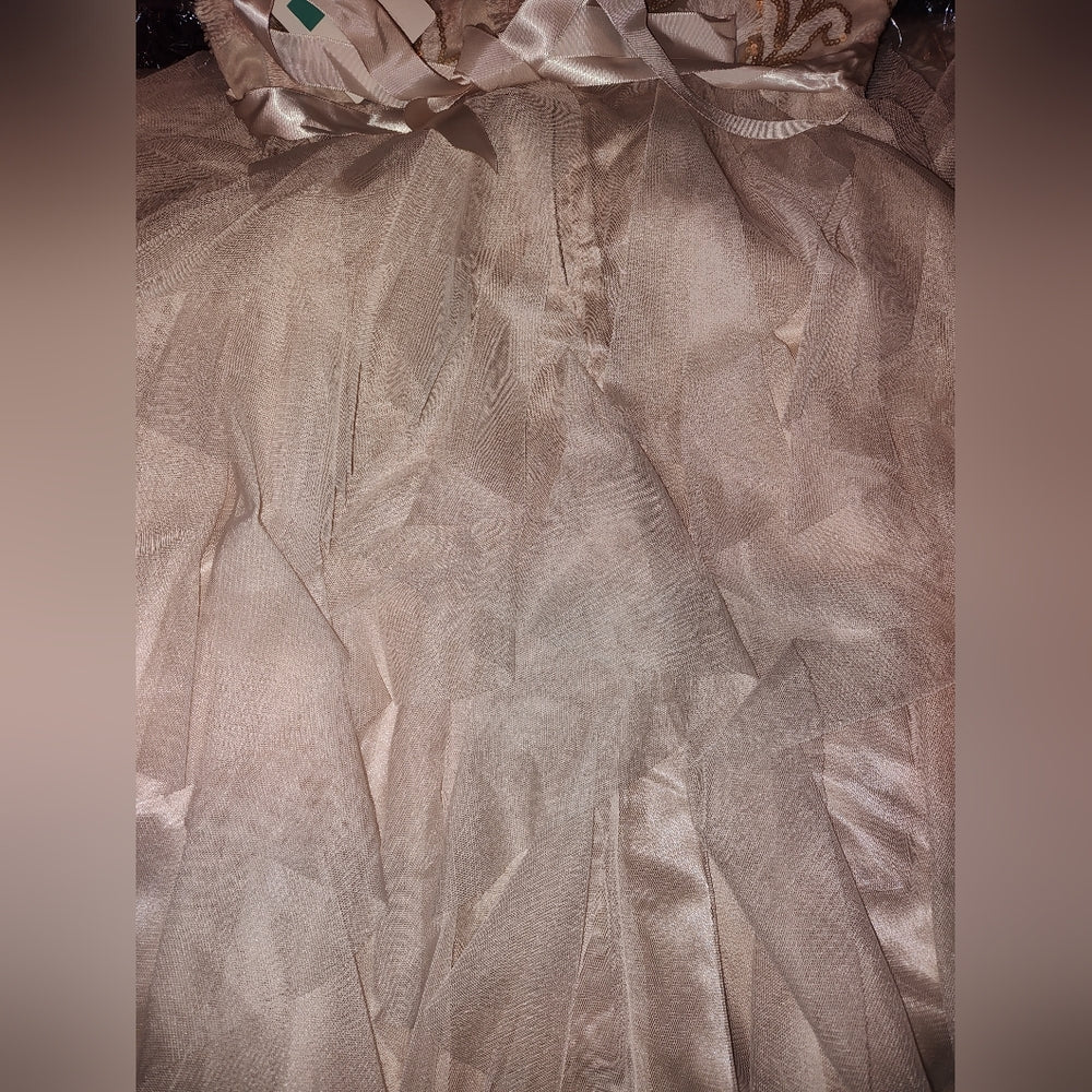 Rare Editions Big Girls Sequin Embroidered Dress Beige