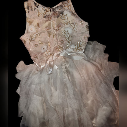 Rare Editions Big Girls Sequin Embroidered Dress Beige
