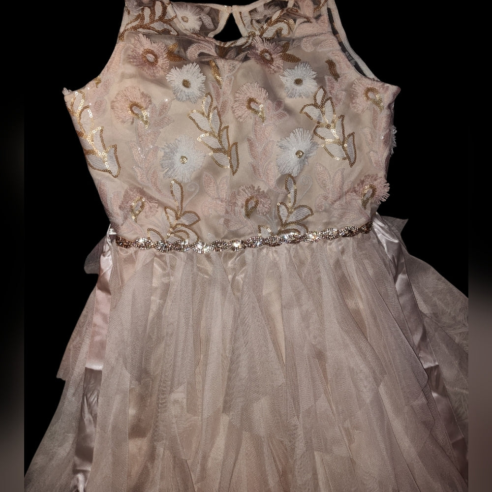 Rare Editions Big Girls Sequin Embroidered Dress Beige