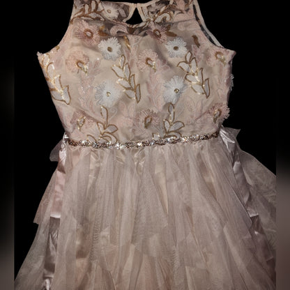 Rare Editions Big Girls Sequin Embroidered Dress Beige