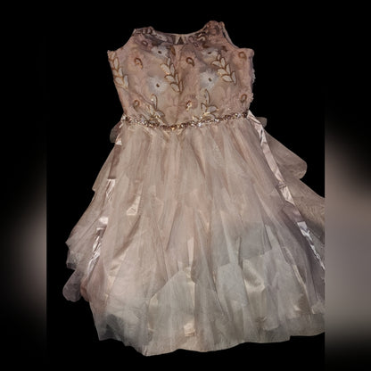 Rare Editions Big Girls Sequin Embroidered Dress Beige