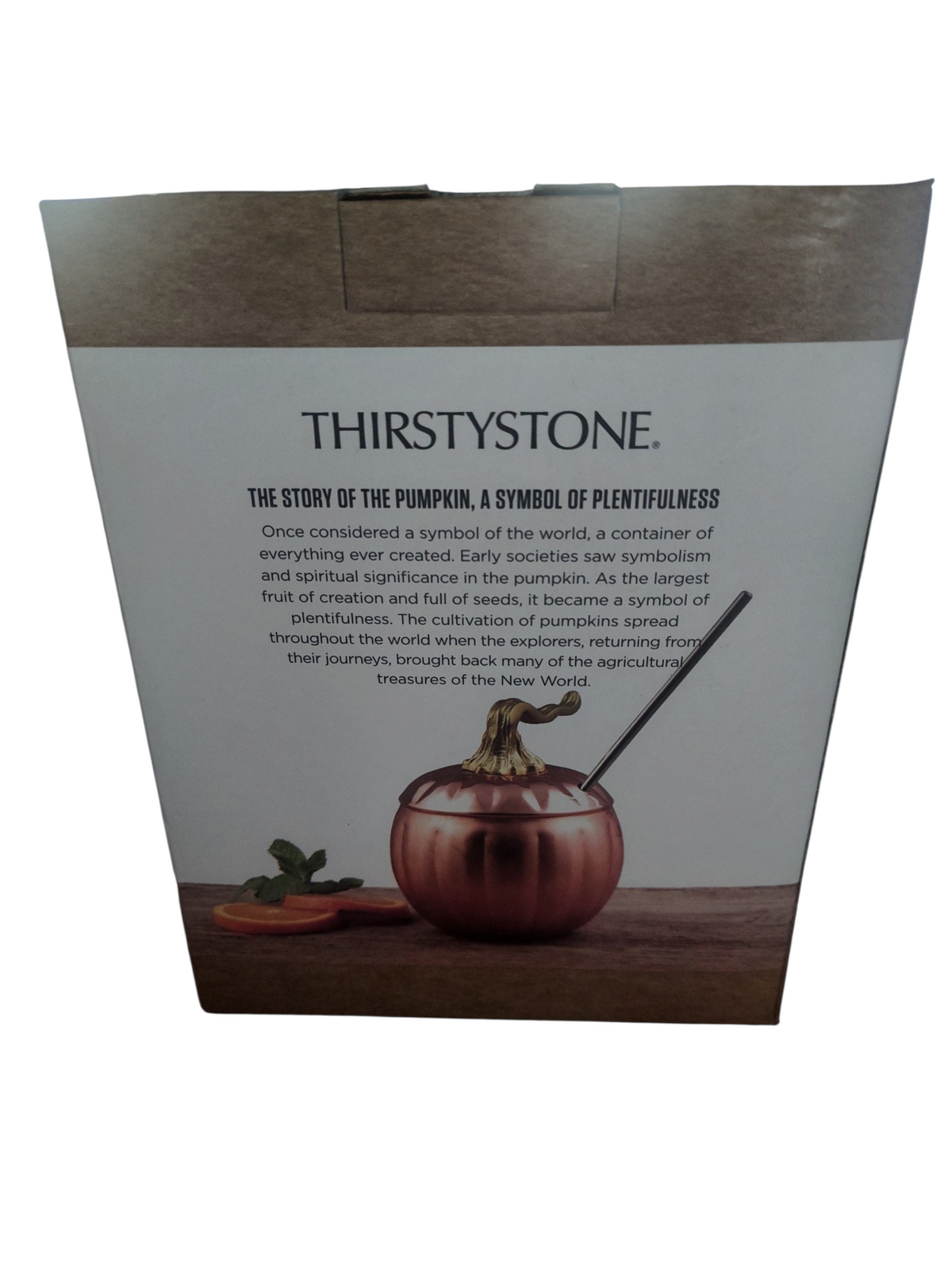 Thirstystone Covered Pumpkin Tumbler W Stainless Steel Straw