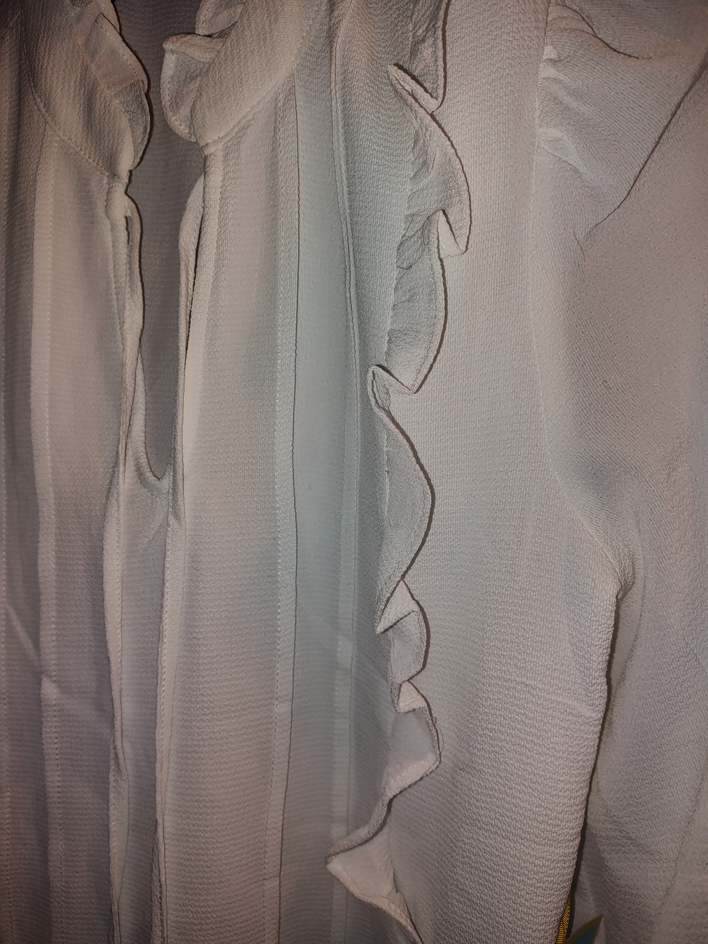 Women's Ruffled Pintucked Blouson-Sleeve Blouse Small